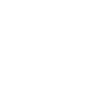 Liu Jo Logo.